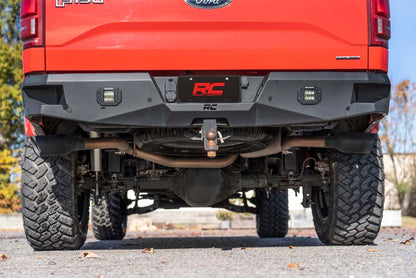 Performance Cat-Back Exhaust No Std Cab Ford F-150 2WD/4WD (2015-2020) Rough Country
